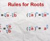 rules of roots
